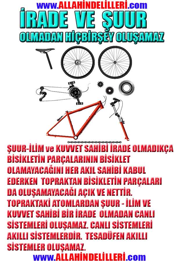 proofs of god, evidences of god