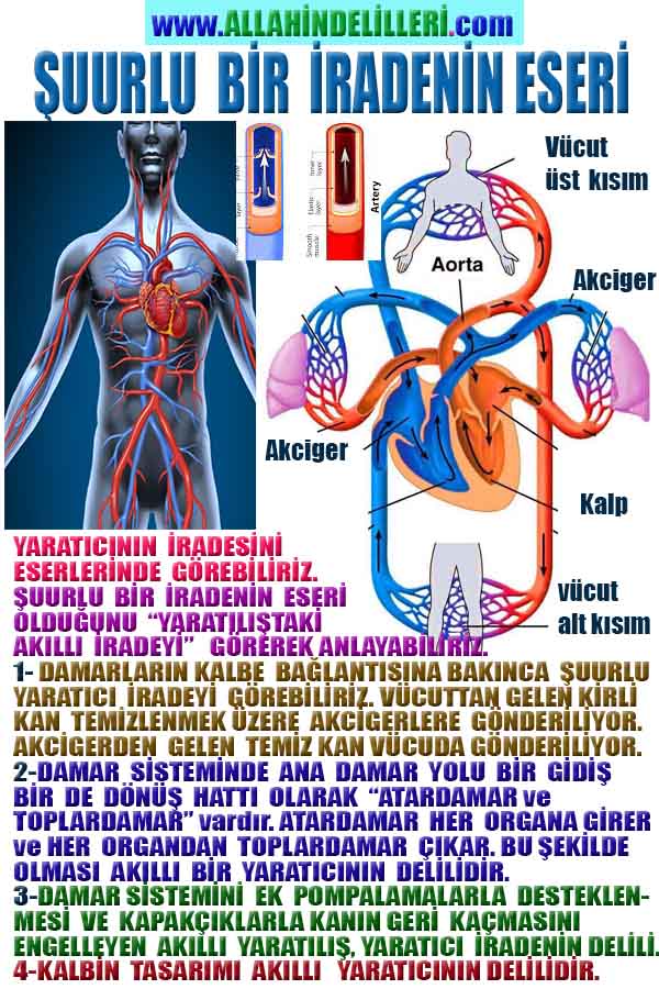 proofs of god, evidences of god 