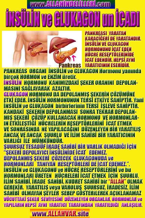 proofs of god, evidences of god