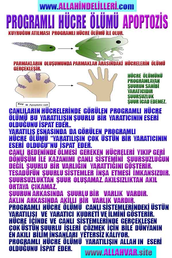 proofs of god, evidences of god