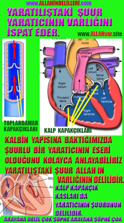 proofs of god, evidences of god